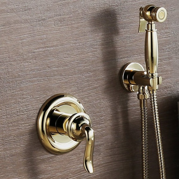 Гигиенический душ встраиваемый Lemark Brava LM4719G золото в Сочи и Адлере