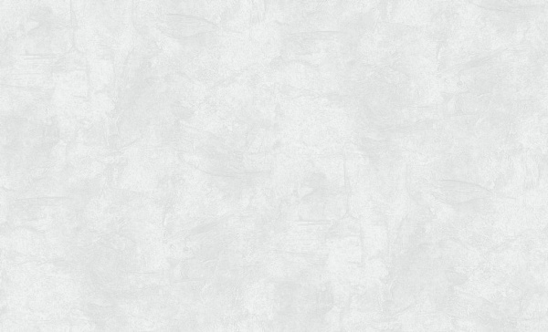 Обои Erismann Nova, винил горячего тиснения на флизелиновой основе, 1,06*10м, Св.серый однотон