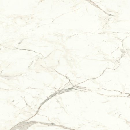 Керамогранит Marvel Calacatta Prestigio 120x120 Lappato в Сочи и Адлере