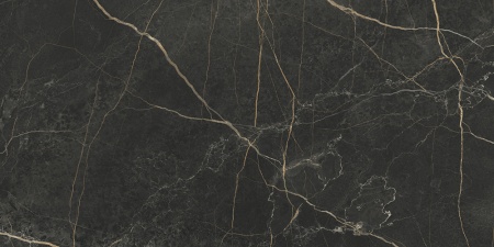Керамогранит K948089LPR01VTER MarbleS Порт Лорен Лаппато R9 60*120 в Сочи и Адлере