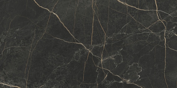 Керамогранит K948089LPR01VTER MarbleS Порт Лорен Лаппато R9 60*120 в Сочи и Адлере